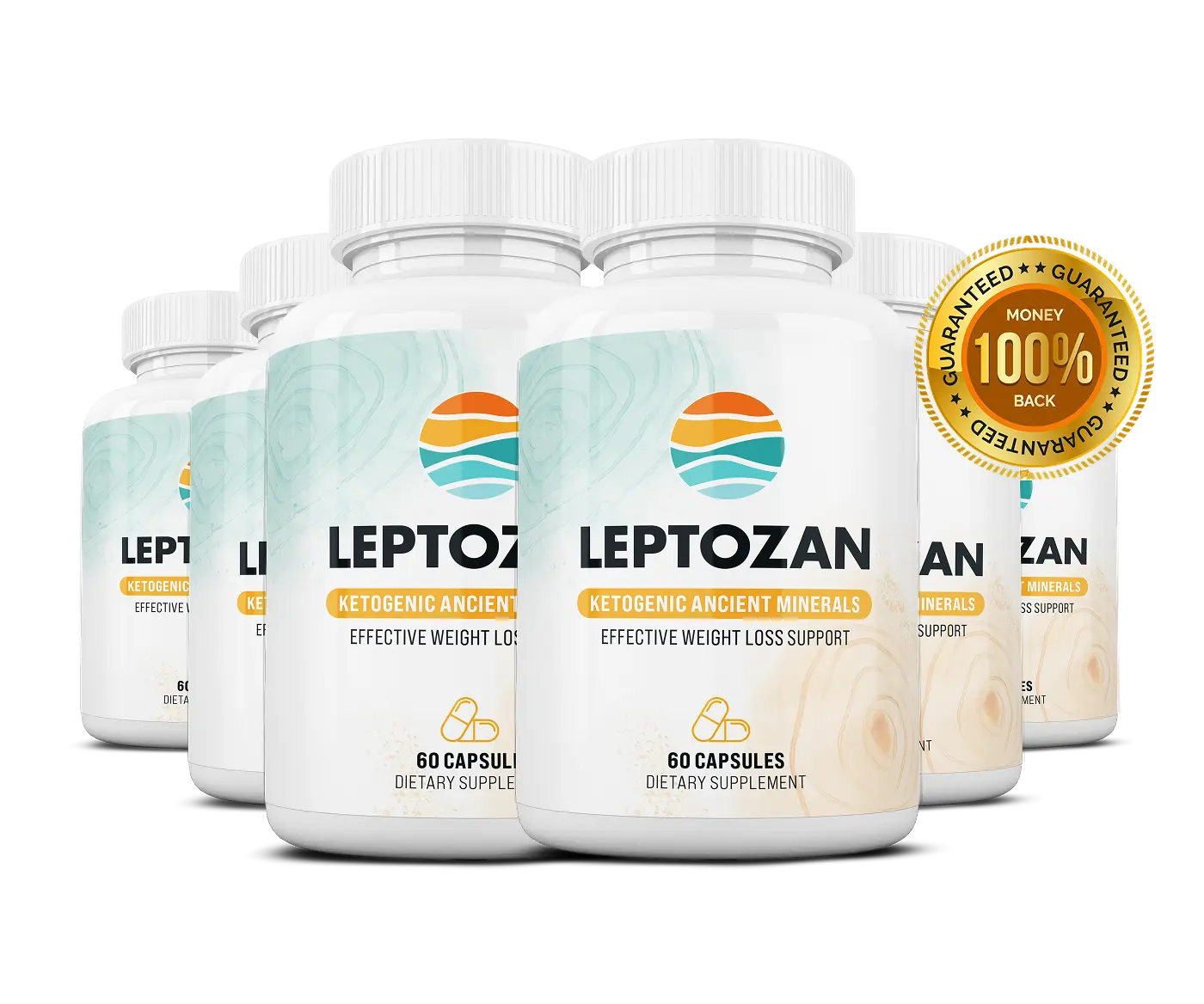 Lepto Zan 6 Bottles